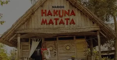 Marioo - Hakuna Matata (Acoustic) Mp3 Download