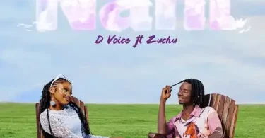 D Voice ft Zuchu - Nani Mp3 Download