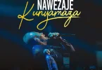 Dr Ipyana - Nawezaje Kunyamaza Mp3 Download