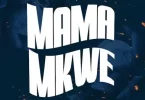 Yamoto Band ft Barnaba Classic - Mama Mkwe Mp3 Download