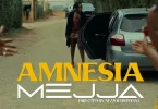 Mejja - Amnesia Mp3 Download