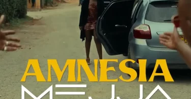 Mejja - Amnesia Mp3 Download