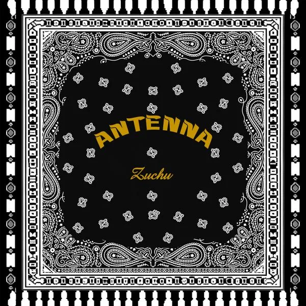 Zuchu - Antenna Mp3 Download